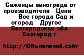 Саженцы винограда от производителя › Цена ­ 800 - Все города Сад и огород » Другое   . Белгородская обл.,Белгород г.